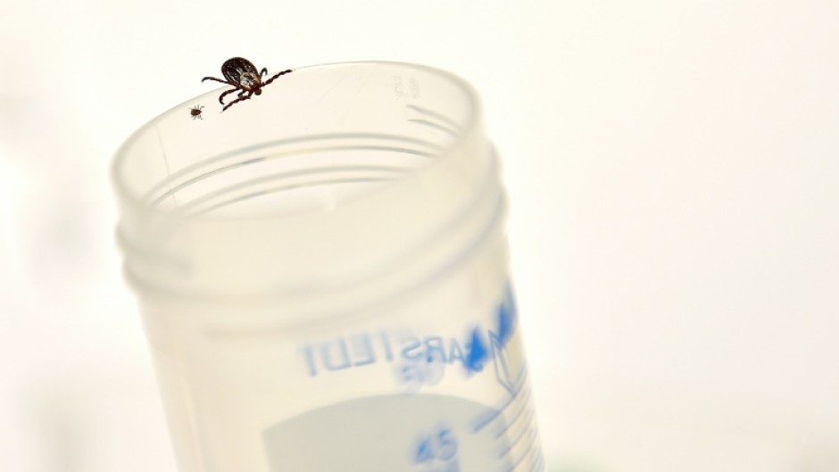 Ticks are another disease vector that are expanding their geographic range