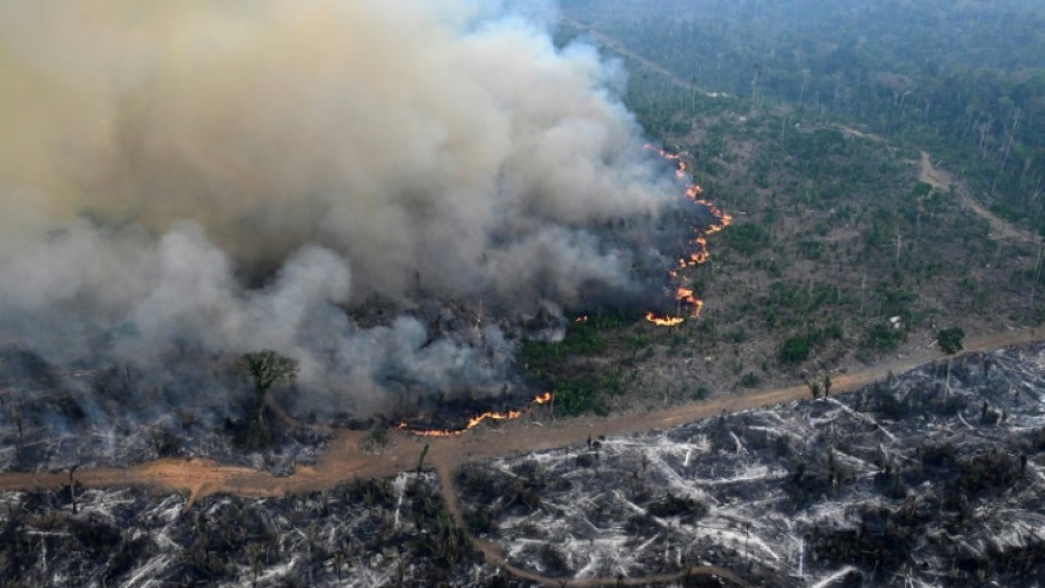 Aerial view of an area of Amazon rainforest deforested by illegal fire in the municipality of Labrea, Amazonas State, Brazil, taken on August 20, 2024