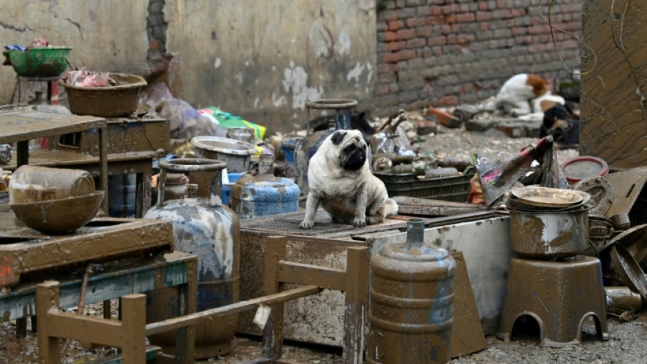 Residents returned to their mud-caked homes to start the cleanup after the floods