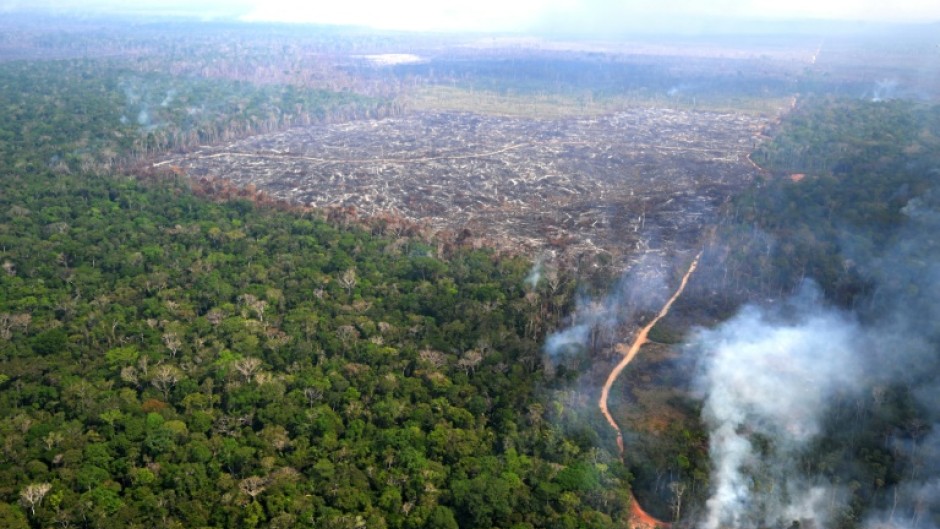 The delay has sparked an outcry from environmentalists, who saw the law as a major breakthrough in the fight to protect nature and the climate