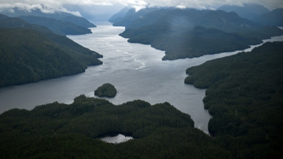 Around Great Bear Sea, overfishing, pollution and warming waters caused by climate change have altered the area substantially