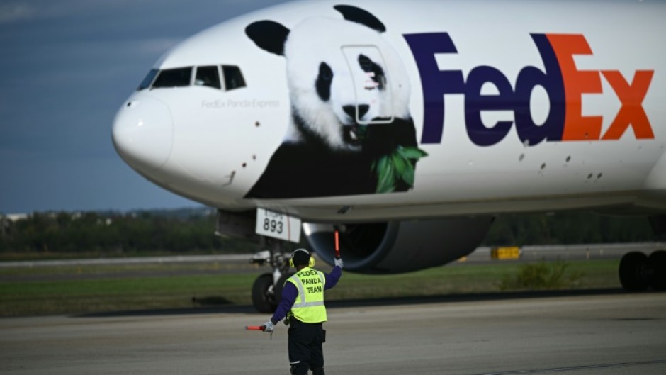 The pandas arrived at Dulles airport near Washington on a FedEx cargo jet dubbed the 'Panda Express'