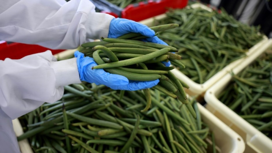 Vanilla is grown in tropical regions of the world 