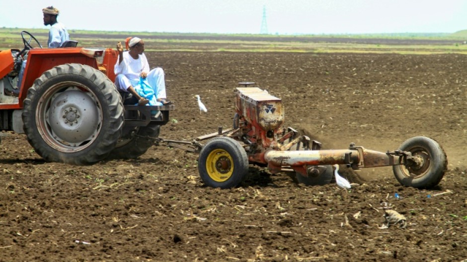 Sudanese farmers plough a field in Gedaref -- the state's agriculture ministry says less than half the pre-war acreage was planted in 2024