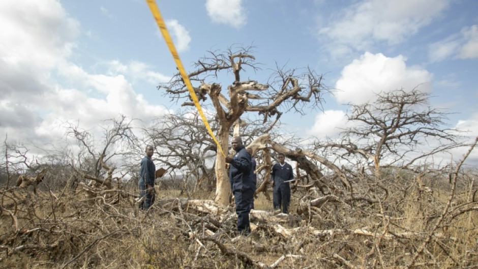 Carbon credits are generated by activities that reduce or avoid planet-heating greenhouse gas emissions, like planting trees or replacing polluting coal with clean-energy alternatives