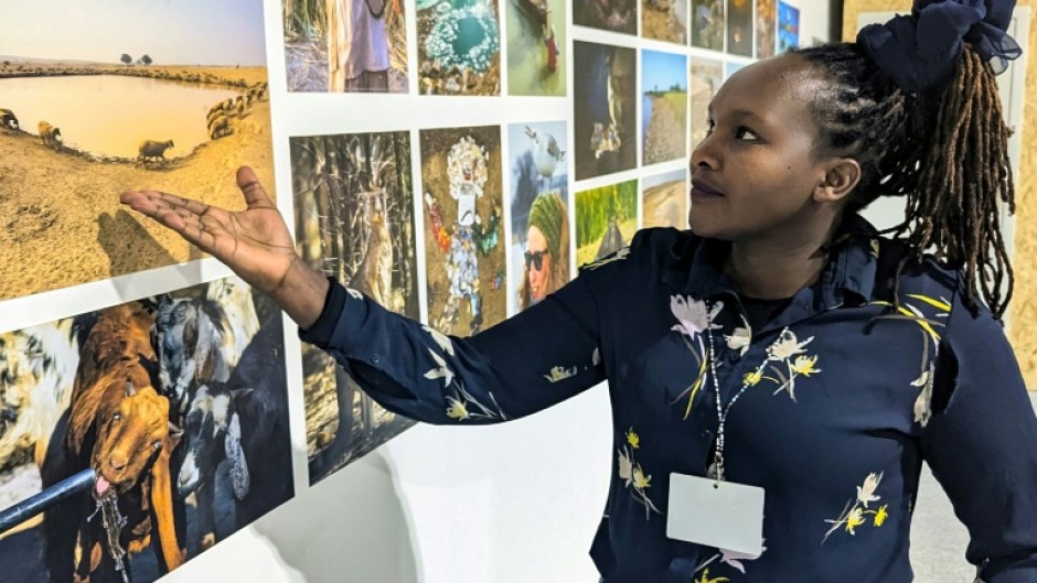 Kenyan climate scientist Joyce Kimutai said fighting over money at COP29 for developing countries to fight climate change was 'frustrating' 