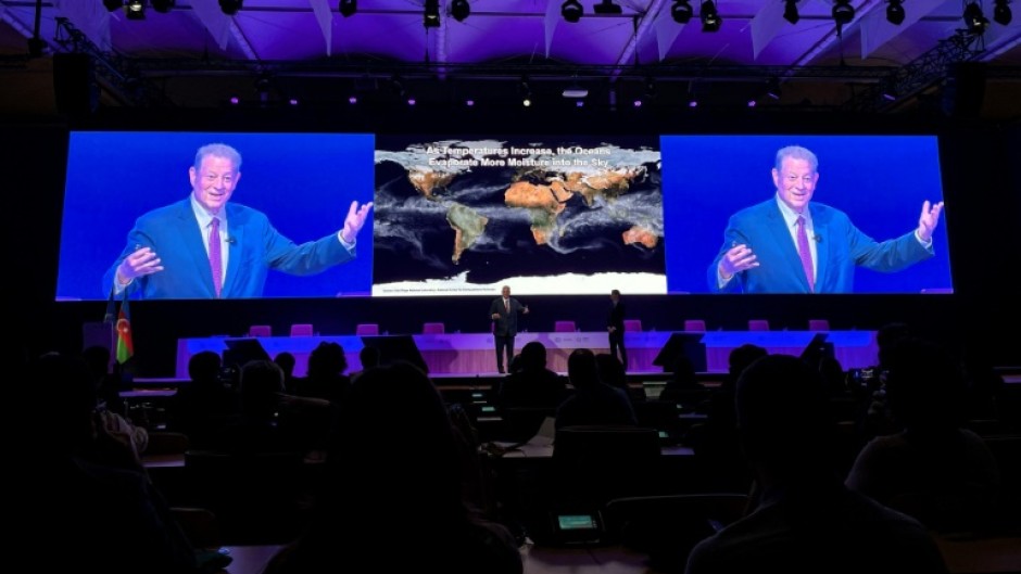 Former US vice president Al Gore said 'petrostates have too much control over' UN climate talks