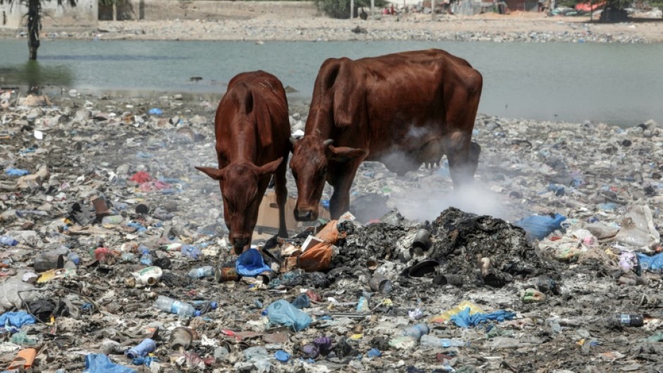 In 2019, the world produced around 460 million tonnes of plastic, a figure that has doubled since 2000, according to the OECD