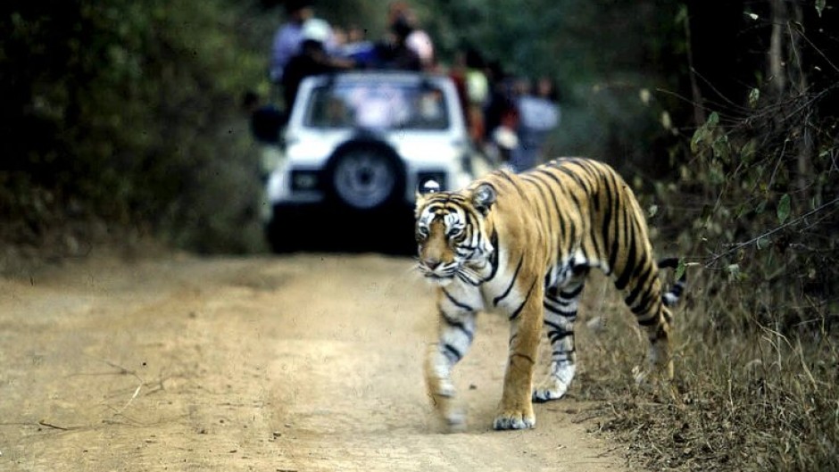 Technology intended to protect tigers in an Indian forest have sometimes been turned on women, researchers warn