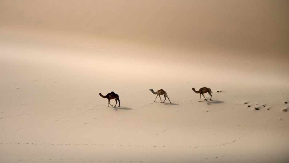 Saudi Arabia is home to one of the world's biggest deserts