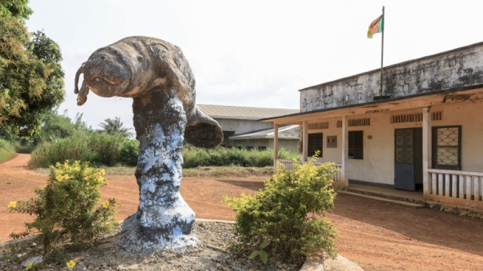 Manetee is off the menu and a statue of the aquatic mammal now adorns a roudabout in the town of Dizangue