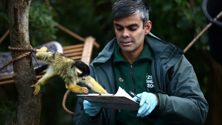 The resident squirrel monkeys also helped with the stocktake