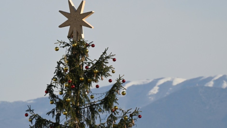 Sweden's food safety agency says eating Christmas tree needles can be safe