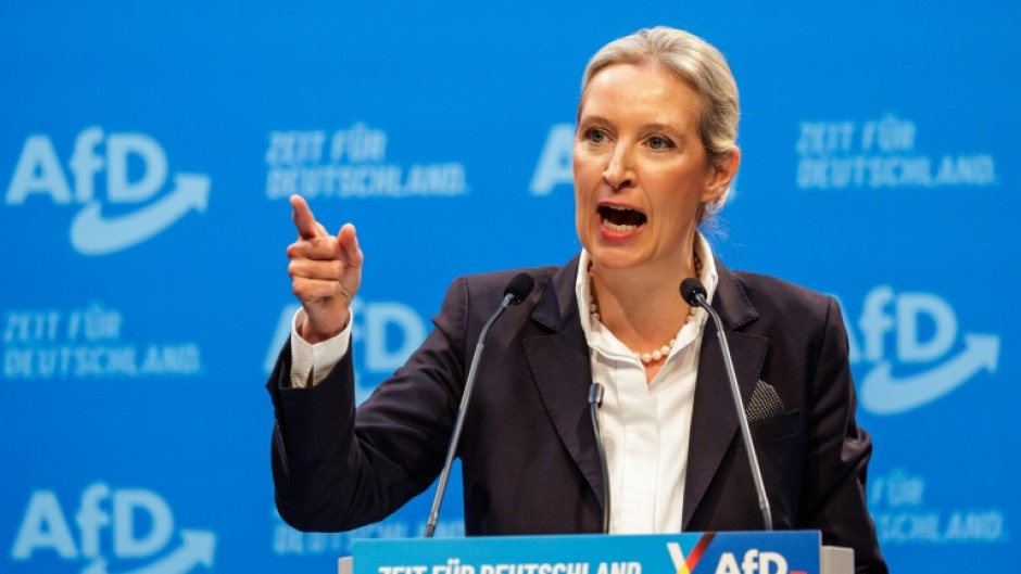 Weidel said an AfD government would close the borders to anyone travelling without documents