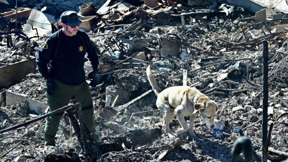 A cadaver dog sniffs through the rubble of beachfront properties destroyed by the Palisades Fire along the Pacific Coast Highway in Malibu, California