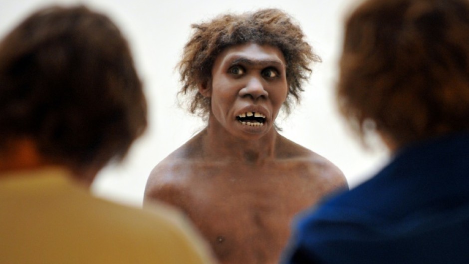 A figure of Homo erectus, whose ruggedness and capabilities may have been going underestimated 