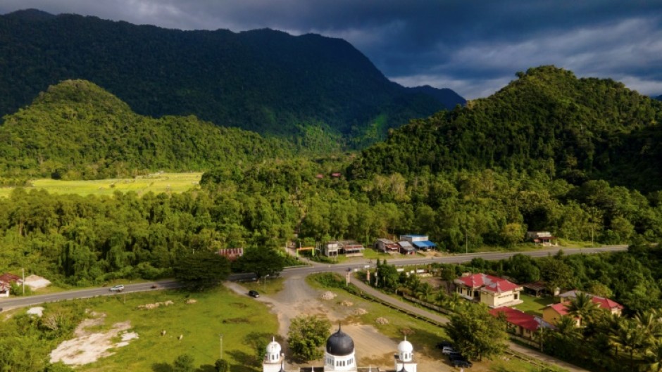 The Indonesian government wants to turn 20 million hectares of forest into areas for food and energy production and water reserves