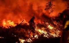 Fires in France have led to the highest levels of carbon pollution since records began