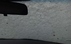 Snow on a windshield