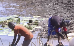 The El-Nino-induced drought has hit the southern Africa region hard, leaving many people and animals in rural Zimbabwe in serious need of water.