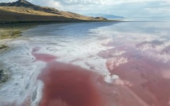 Great Salt Lake in Utah is one of the largest bodies of landlocked salt water in the world, but park managers say it is not a good place to brine a turkey