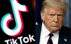 US President-elect Donald Trump has been supportive of TikTok, but it is unclear if he can find a way to avert a ban on the app 