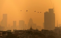 Birds fly past a Bangkok skyline coloured by high air pollution