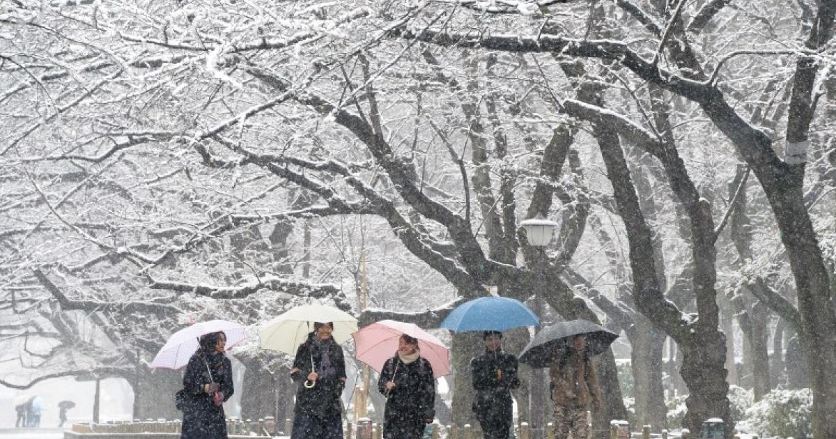 Flights grounded in Japan after snowstorm eNCA