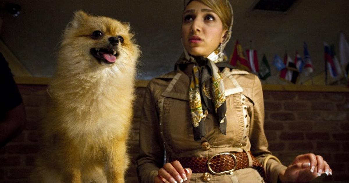 Iran Dog Lovers Face Backlash ENCA