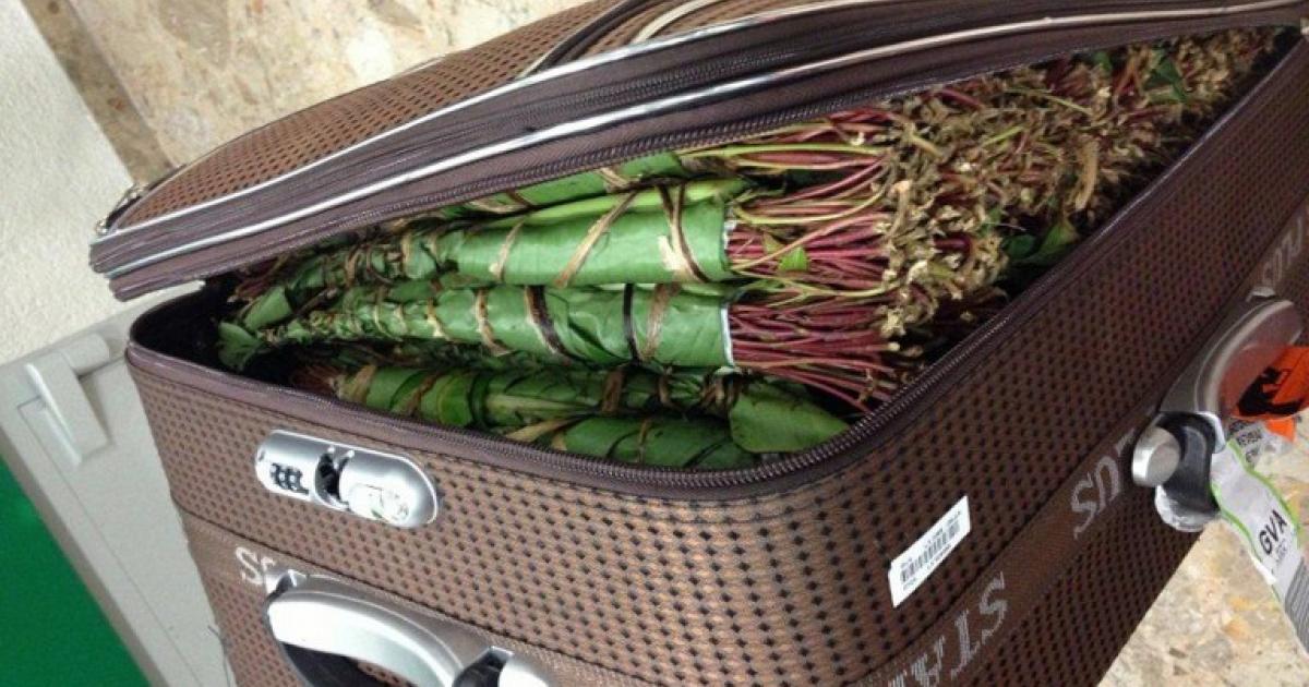 somali-nationals-arrested-for-khat-enca