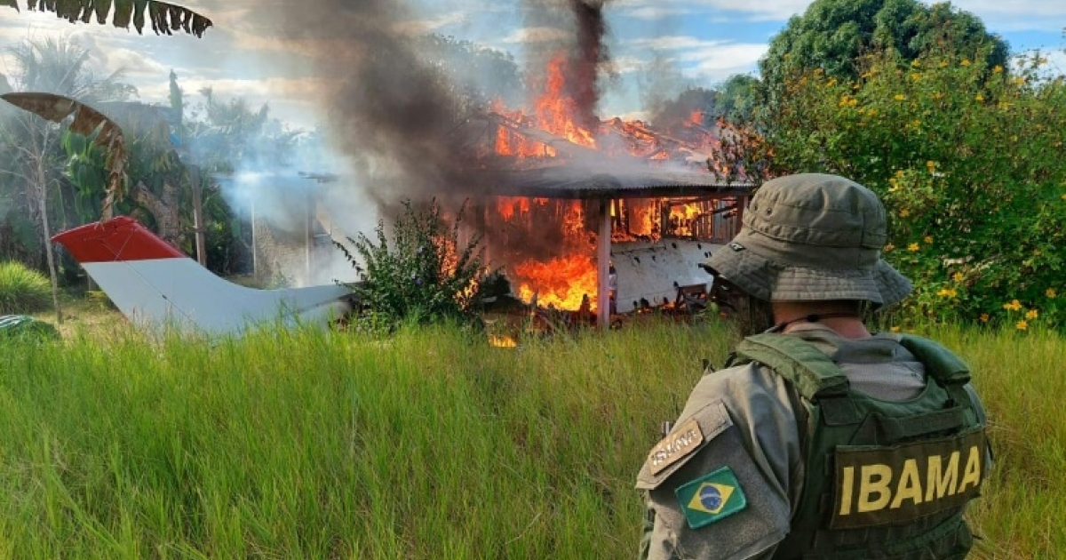 Palavras ousadas, caminhe devagar enquanto o Lula do Brasil se propõe a salvar a Amazônia