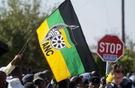 ANC flag