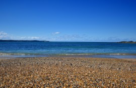 The globs were discovered scattered over the pebbly beaches of Placentia Bay. GettyImages/Binikins