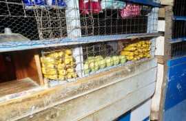 Food seen at a spaza shop. Hoberman Collection/Universal Images Group via Getty Images