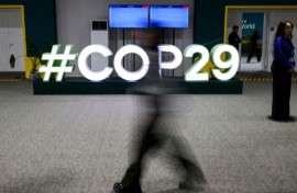 Nearly 200 nations gathered in Azerbaijan over the past two weeks for UN climate talks where finance for poor countries was top of the agenda