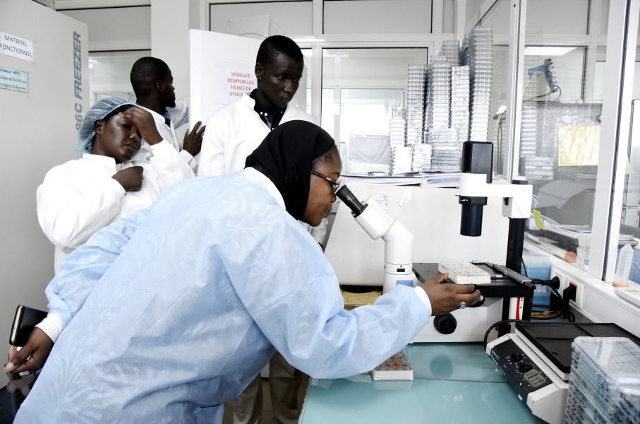 Scientific staff work in a secure laboratory, researching the coronavirus, at the Pasteur Institute in Dakar.