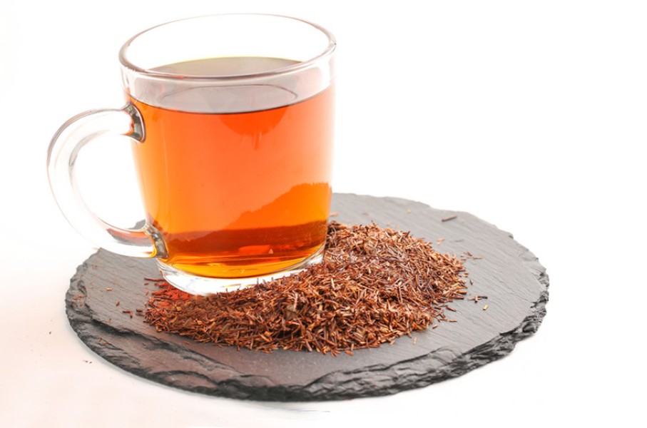 Rooibos