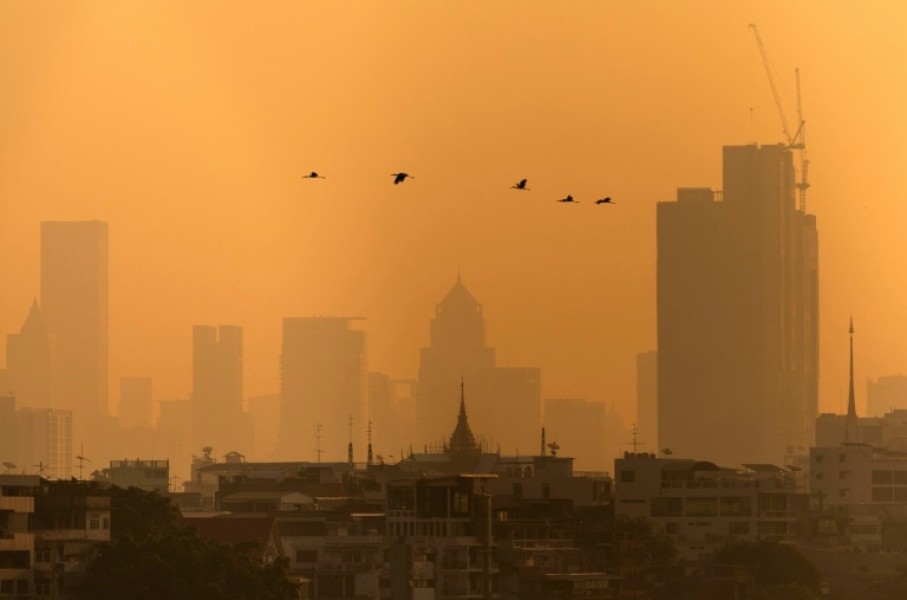 Birds fly past a Bangkok skyline coloured by high air pollution