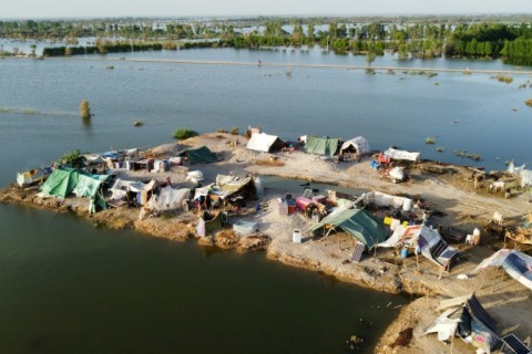 The flooded farmlands have become breeding pools for swarms of flies and mosquitos, with outbreaks of dengue reported