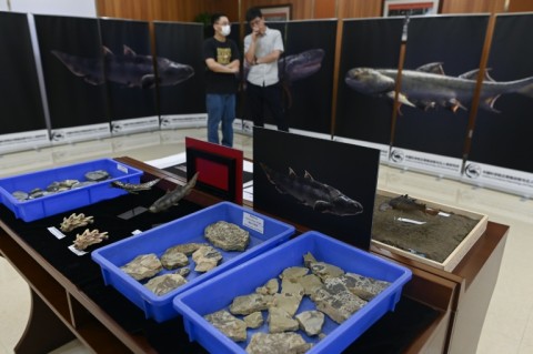 Two fossil deposits of ancient fish were discovered by scientists in 2019 in Guizhou and Chongqing 