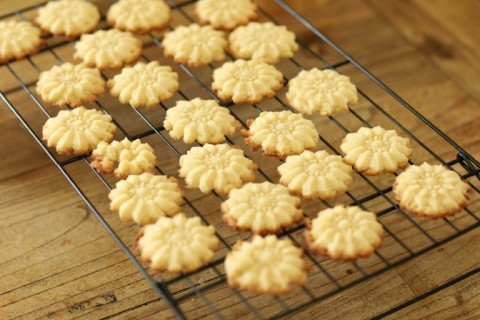 Rosie Grant found the recipe for these spritz cookies on a gravestone in Brooklyn, New York  