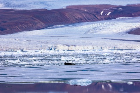 The Greenland ice sheet is currently the main factor in swelling the Earth's oceans