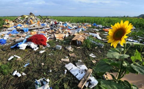 Wreckage from flight MH17 was strewn across sunflower fields in eastern Ukraine 