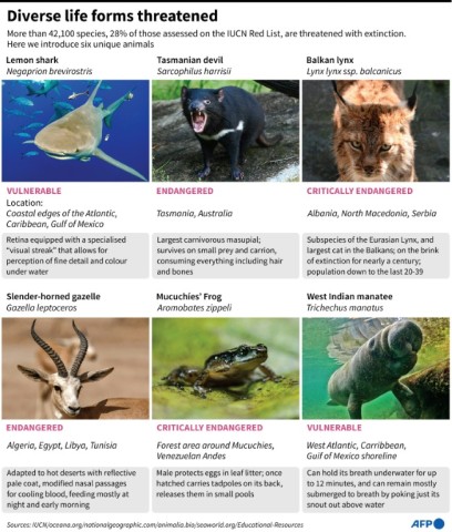 Graphic introducing six threatened species, as the COP15 biodiversity conference takes place in Montreal