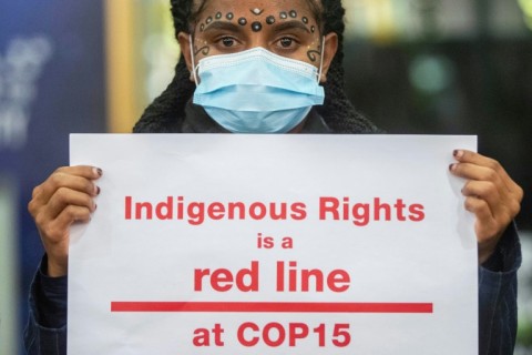 Indigenous climate activists hold a protest at the UN biodiversity conference in Montreal