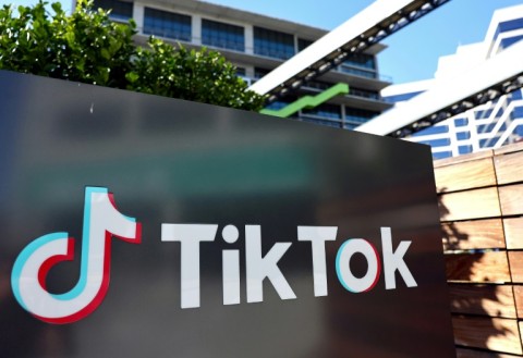 Tiktok has fought to convince customers and governments that users' data privacy is protected and that it poses no threat to national security
