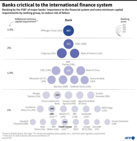 Banks critical to the international financial system