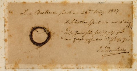 An authenticated lock of hair from Ludwig van Beethoven known as the 'Moscheles Lock' used for a DNA analysis of the composer's health problems