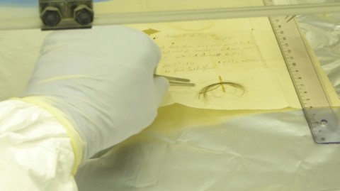 A lock of hair from Ludwig van Beethoven known as the 'Stumpff Lock' undergoing DNA analysis in a laboratory at the Max Planck Institute for the Science of Human History