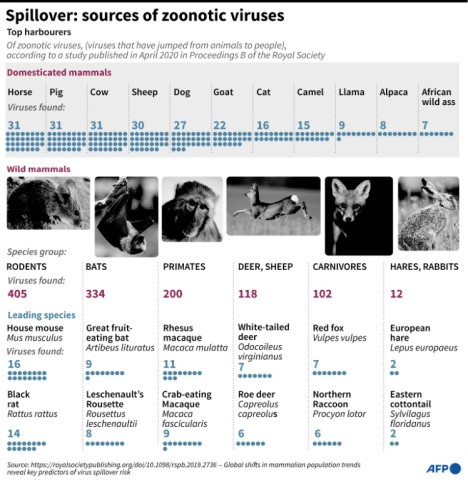 Spillover: sources of zoonotic viruses